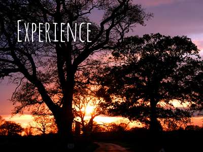 Experience